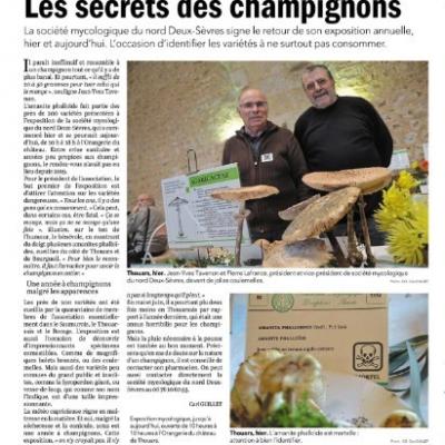 Revue de presse expo 22